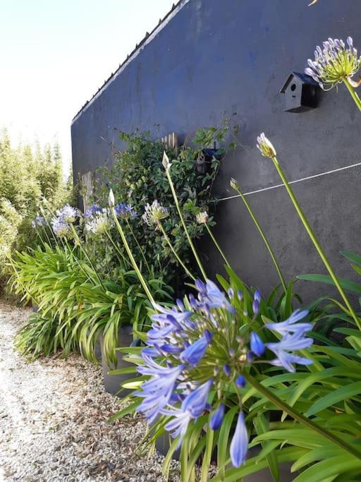 Logement 80 M2 Avec Terrasses Entre Les Deux Abers Landeda Luaran gambar